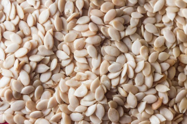 Dry Melon Seeds background